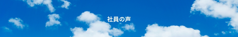 エレステ警備保障 社員の声・求人